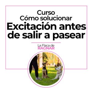 Curso: Excitación antes de salir a pasear
