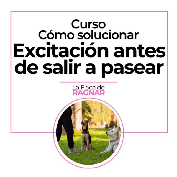 Curso: Excitación antes de salir a pasear