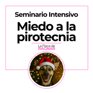Seminario Intensivo Miedo a la Pirotecnia en perros