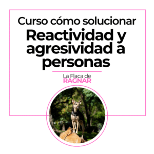 Reactividad y Agresividad a personas